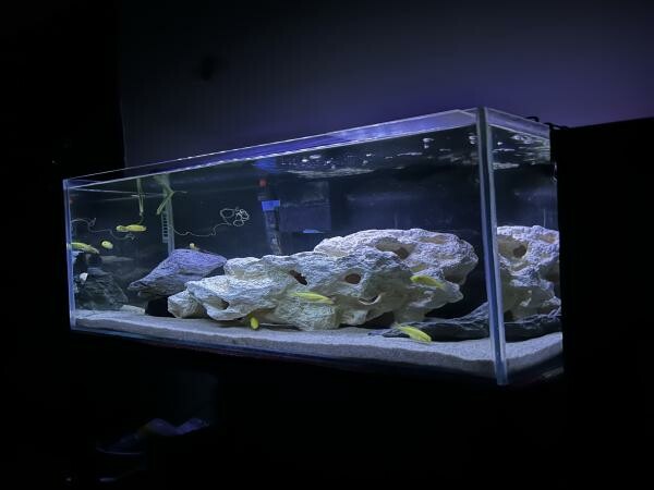 Full set Aquarium with Stand - 1