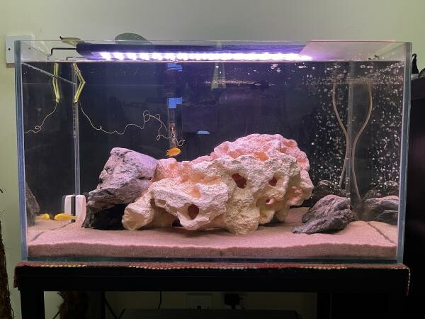 Full set Aquarium with Stand - 2