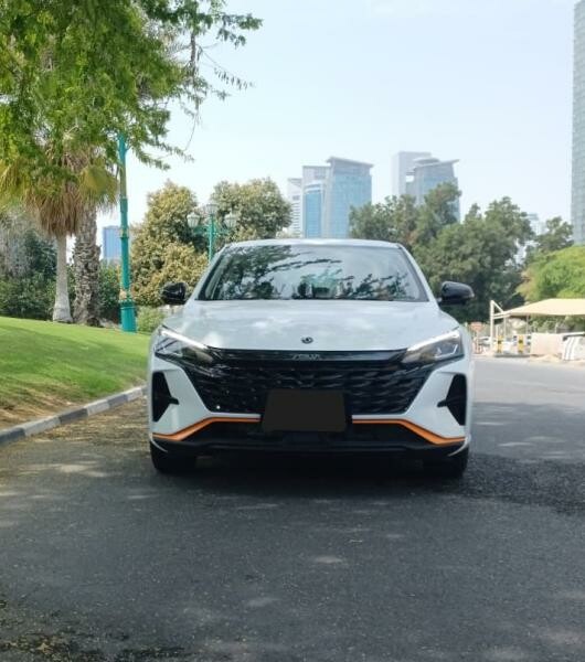 Brand New Dongfeng Shine for Sale - 5