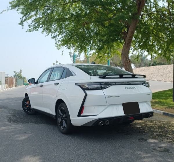 Brand New Dongfeng Shine for Sale - 4