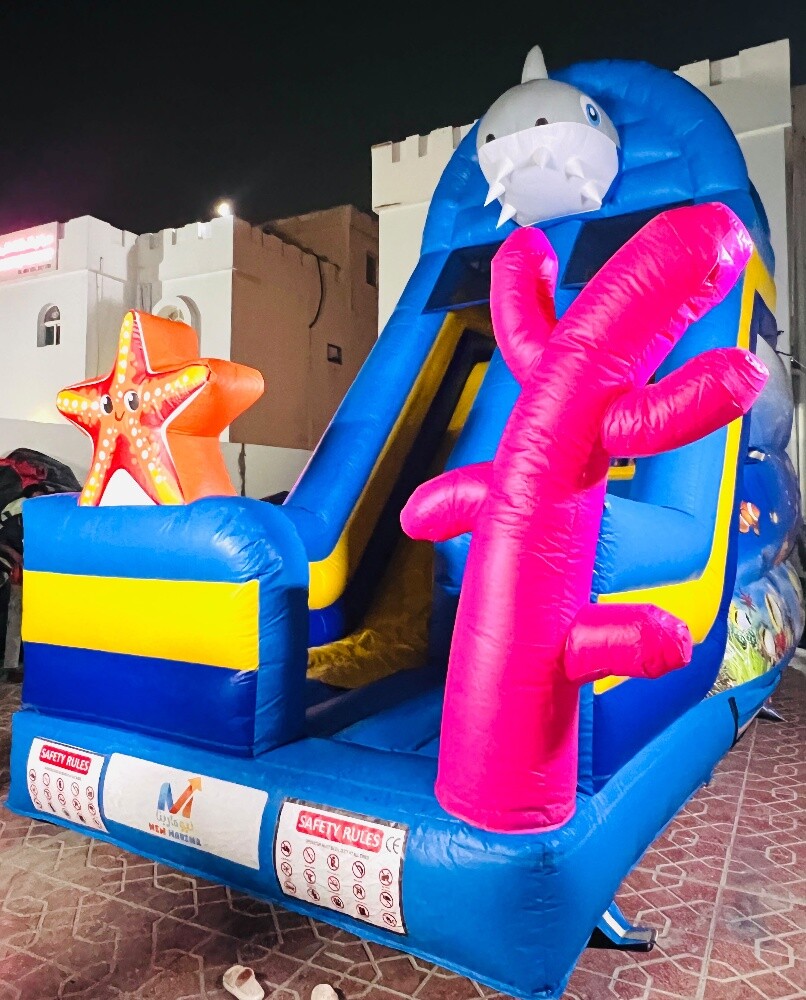 shark inflatable - 2