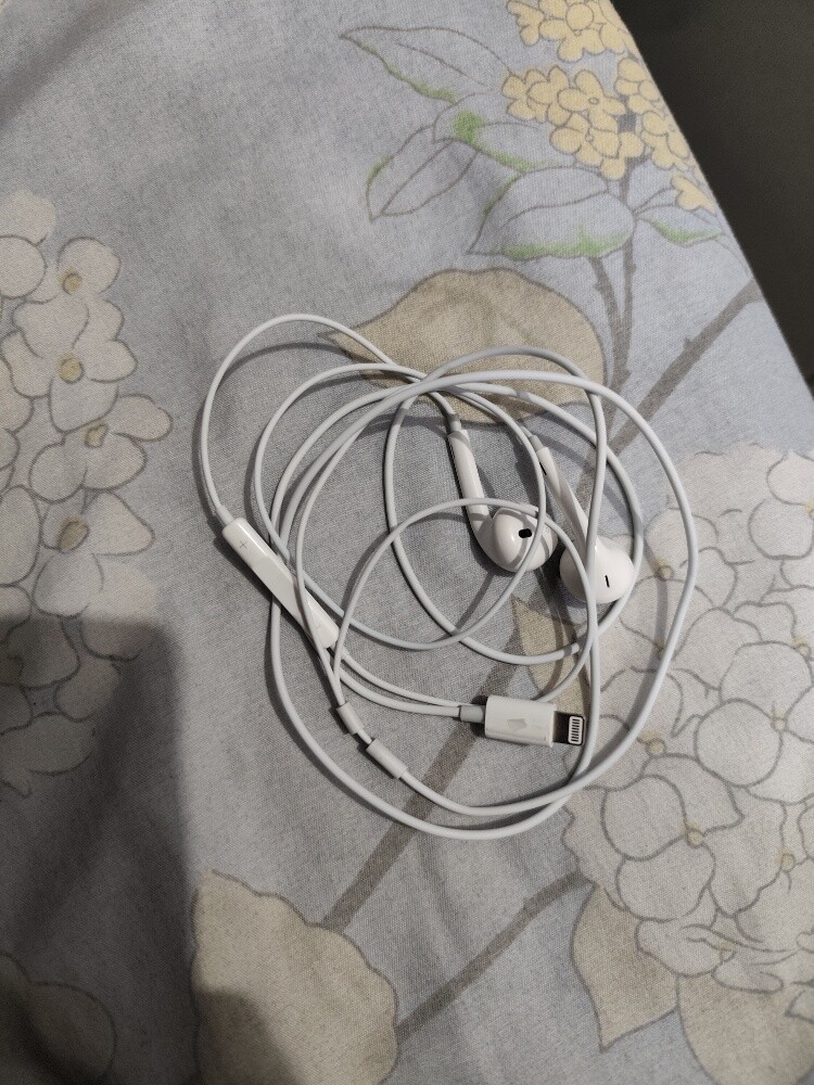 earphone and adepter - 1