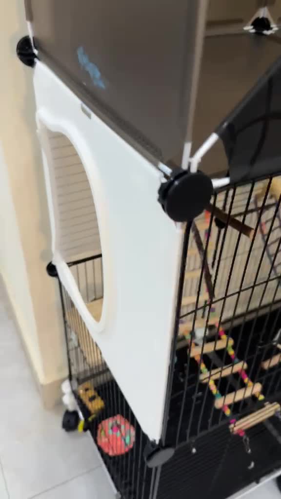 قفص مع ألعاب للطيور نظيف - 3