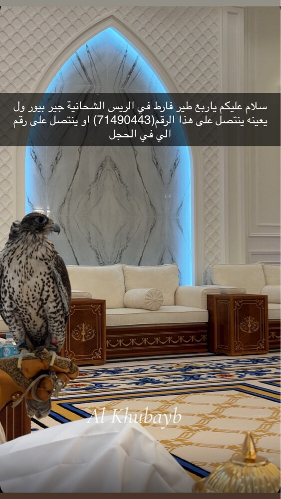 جير بيور - 1