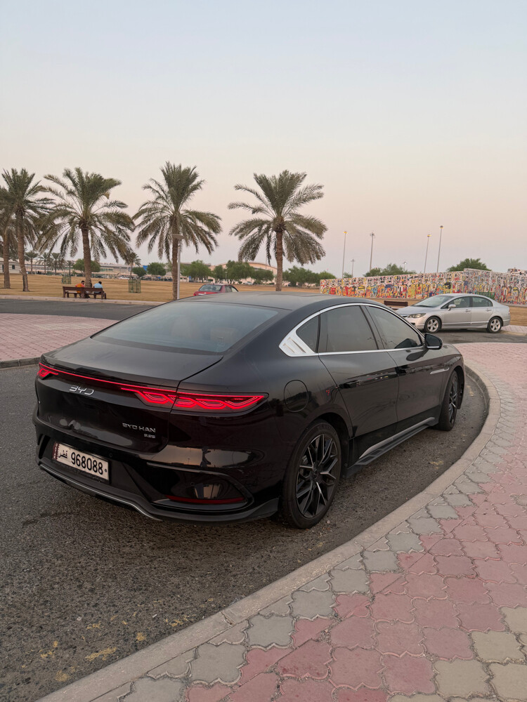 بي وأي دي هان - 5