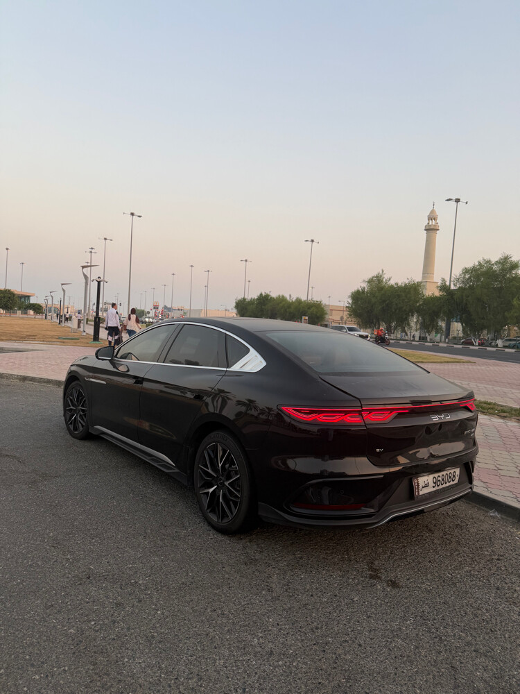 بي وأي دي هان - 8