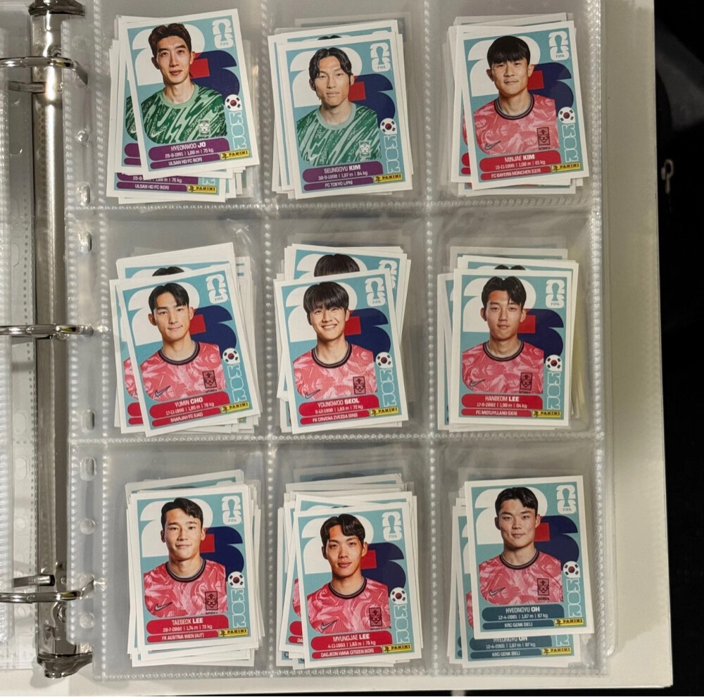 FWC 26 panini stickers  - 12