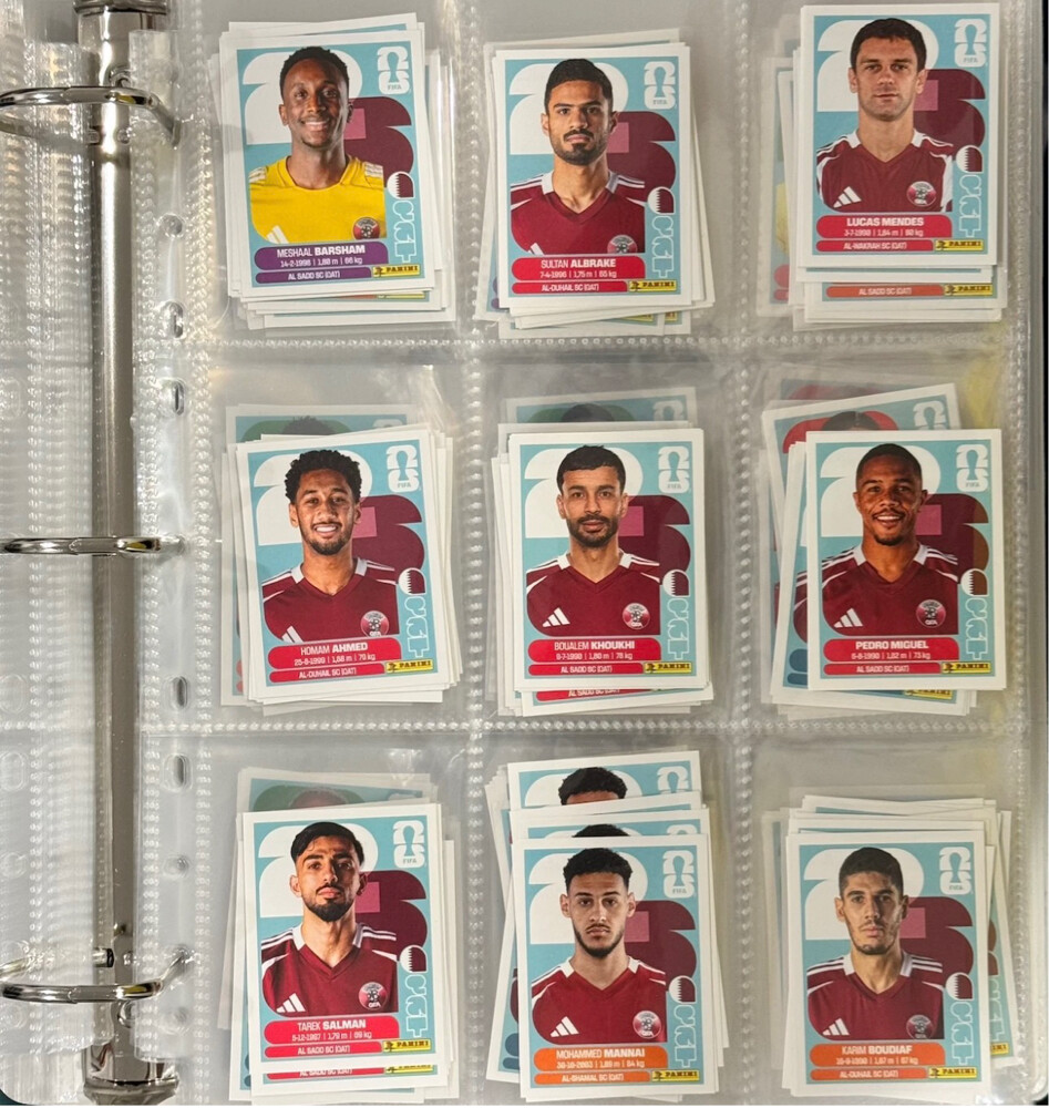FWC 26 panini stickers  - 9