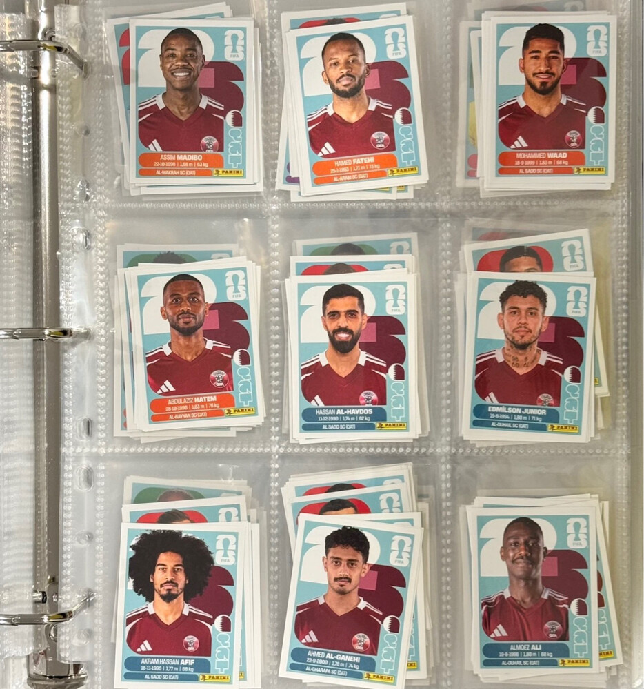 FWC 26 panini stickers  - 10