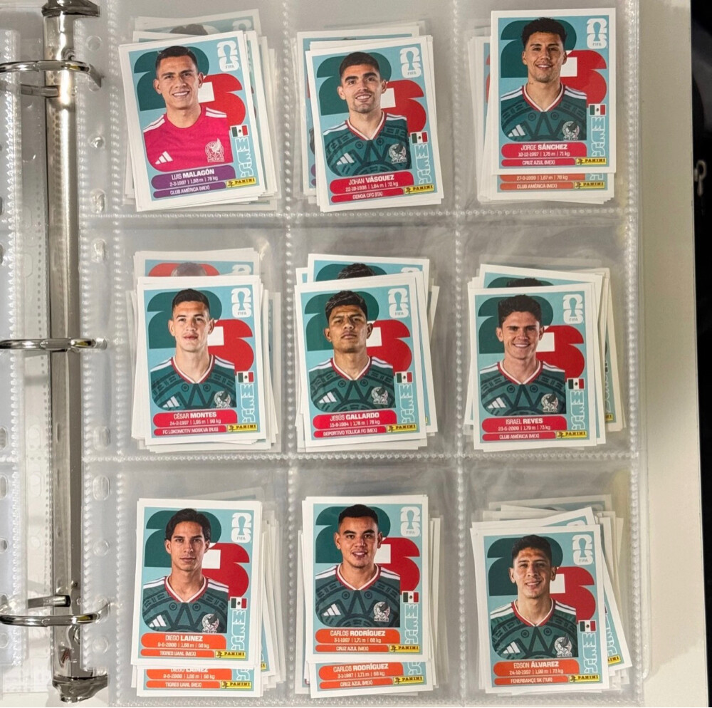 FWC 26 panini stickers  - 15
