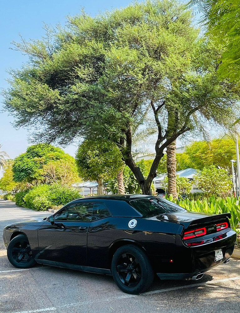 Dodge Challenger 2014 V6  - 4