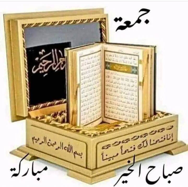 مطلوب توصيل للمدرسة التونسية  - 1