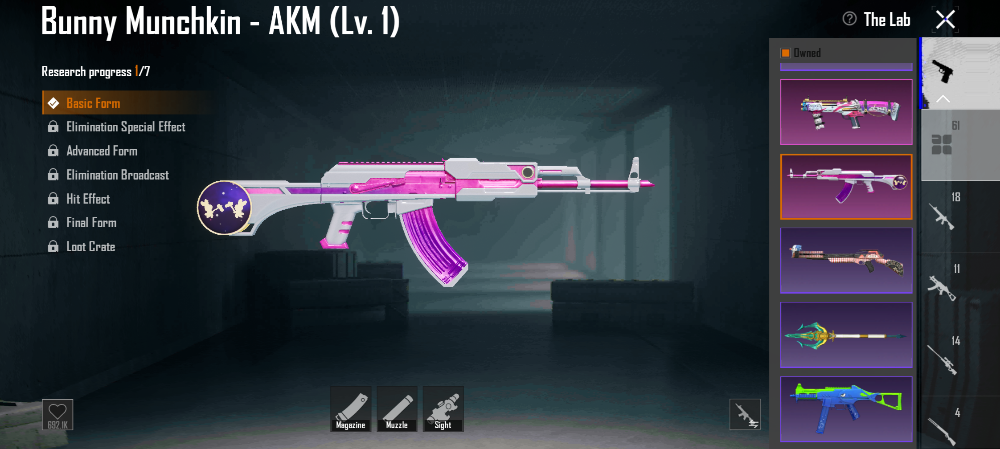 PUBG account for sale - 21