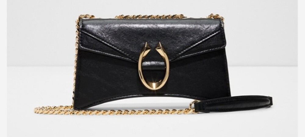 Aldo Bag Brand New - 3