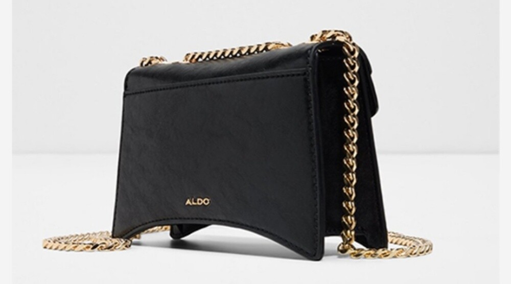 Aldo Bag Brand New - 2