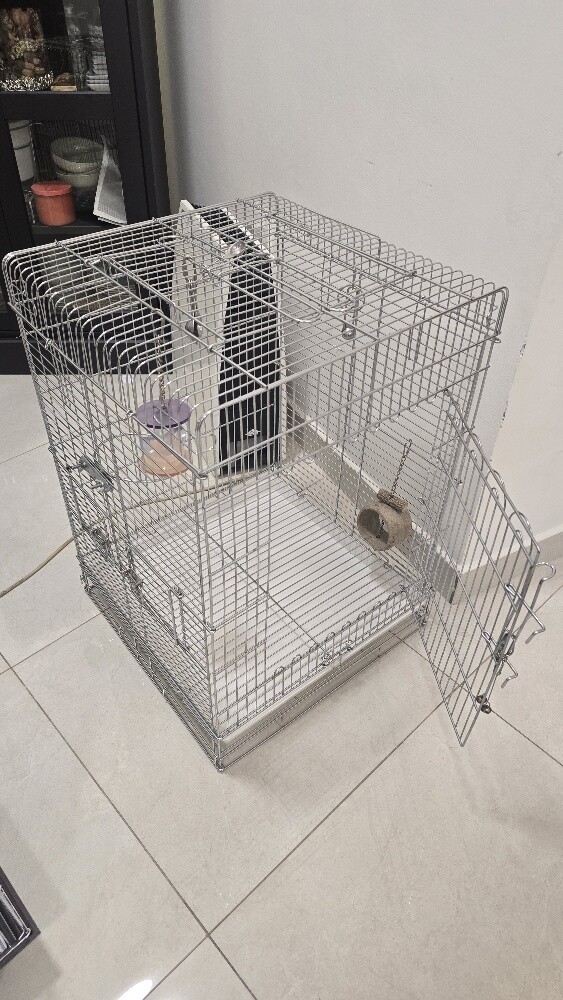 Big Parrot Cage - 1
