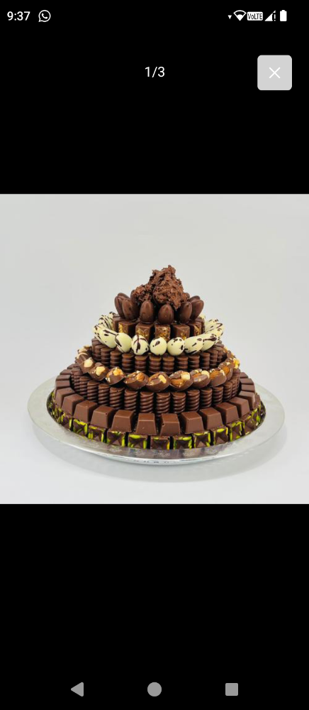 Arabic Food Chef - 6