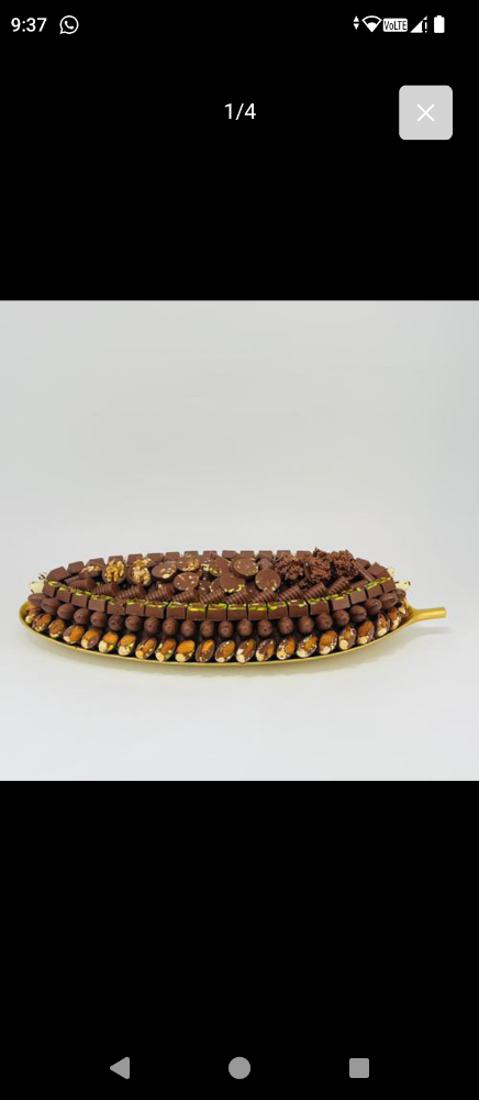 Arabic Food Chef - 8