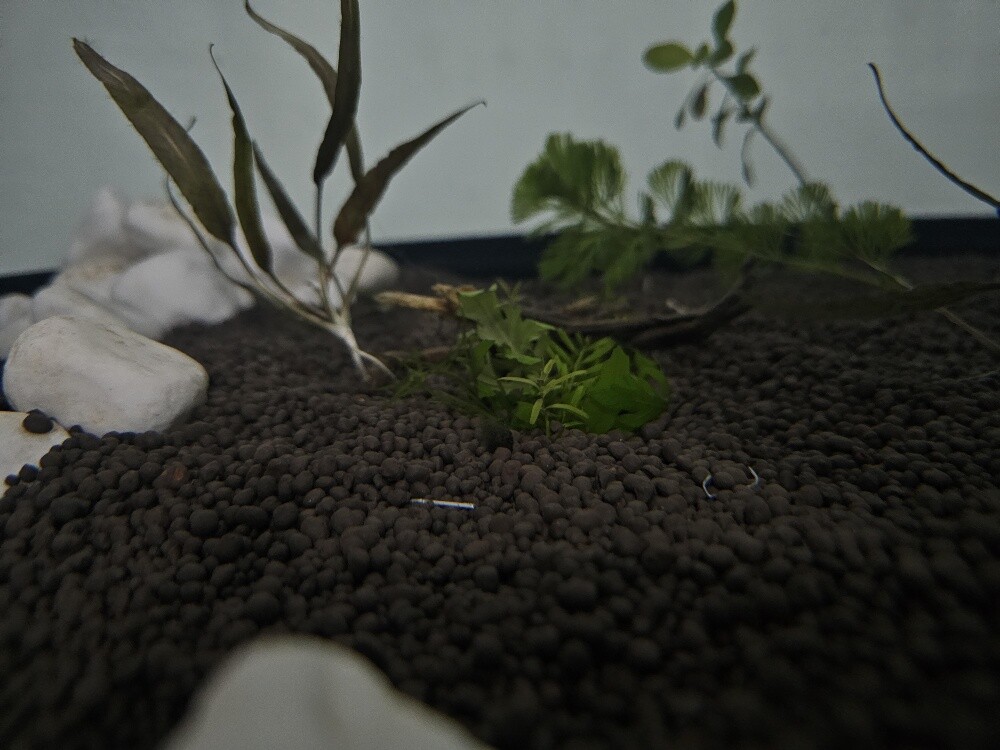 Aquarium - 5