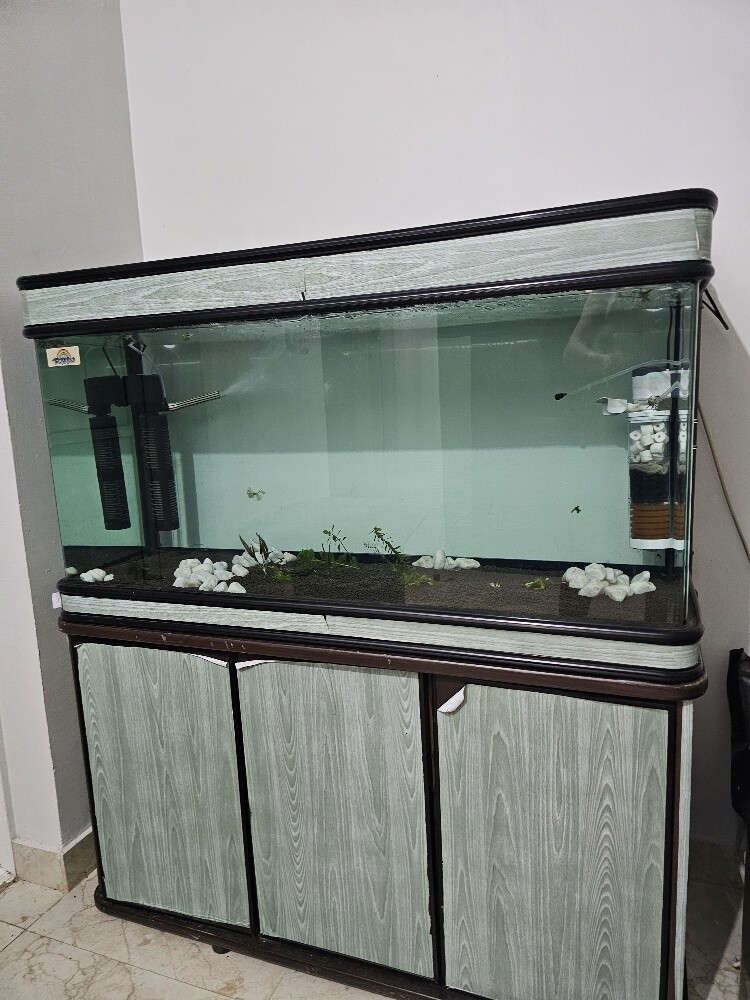 Aquarium - 1
