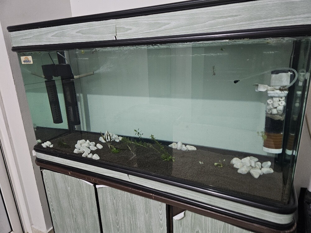 Aquarium - 9