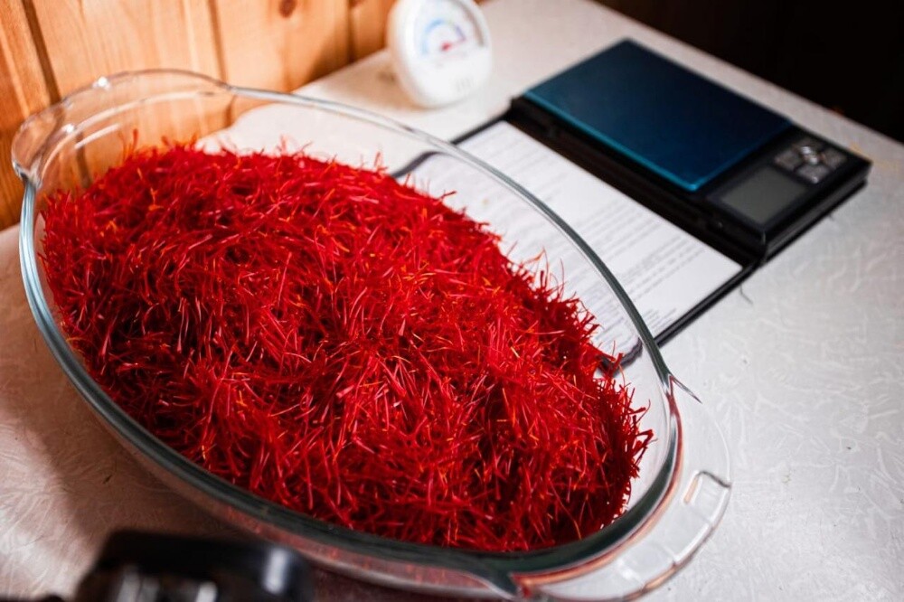 Azerbaijan Saffron - 1