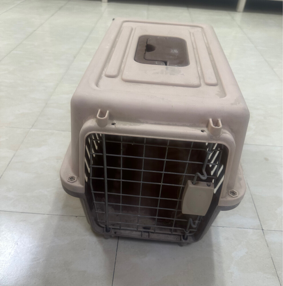 for cats - 1