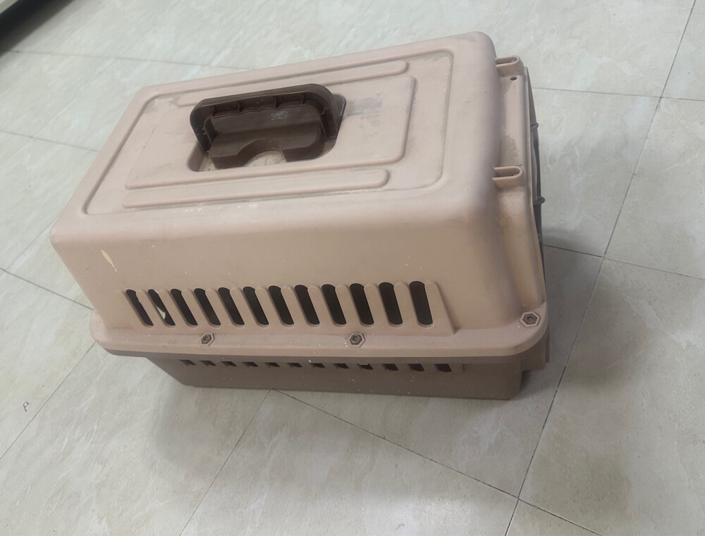 for cats - 2