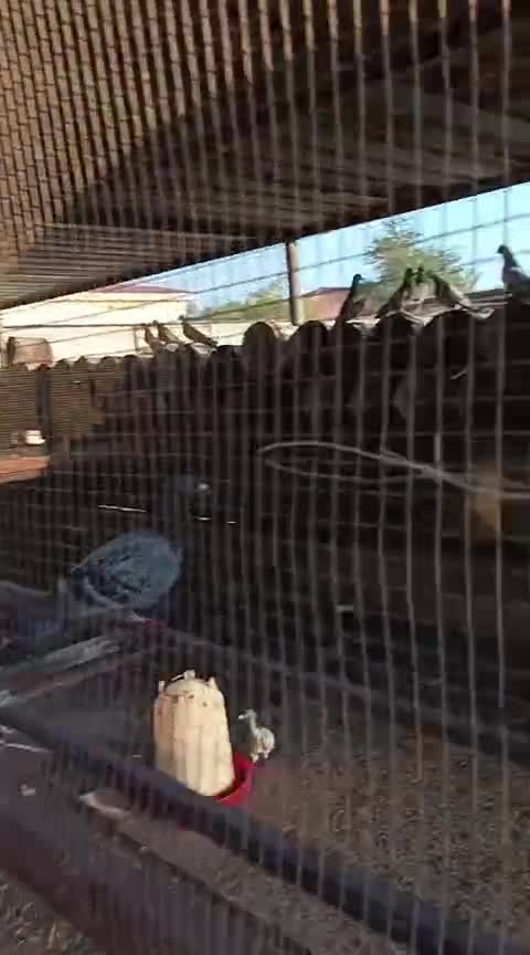 حمام نظيف  - 1
