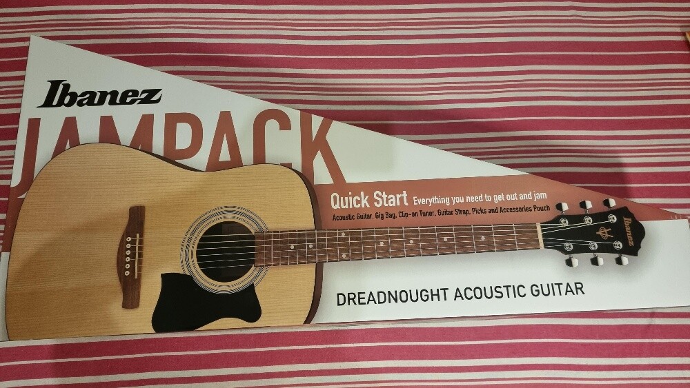 BrandNew Ibanez Acoustic Guitar Kit - 2