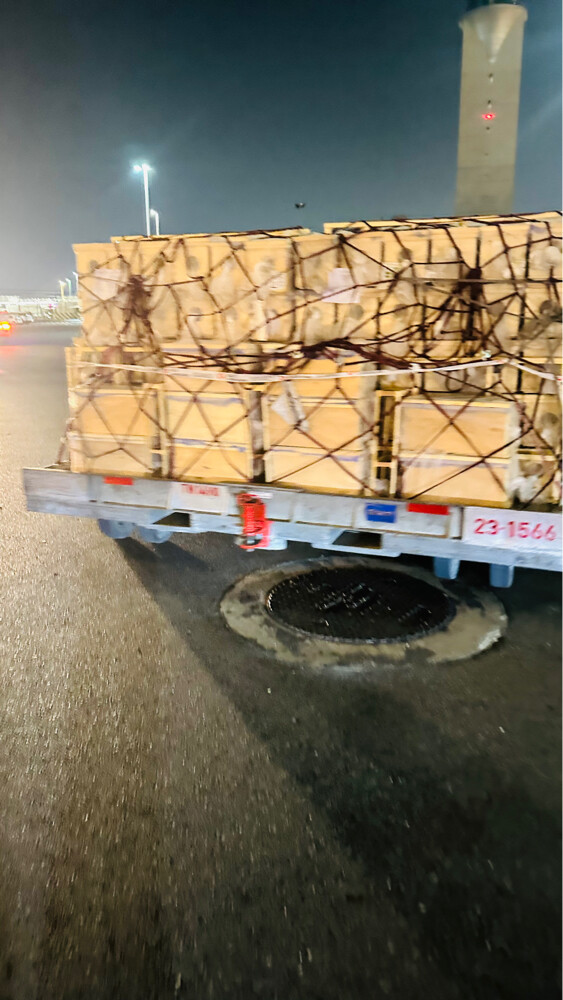 Honey bees for sale - 1