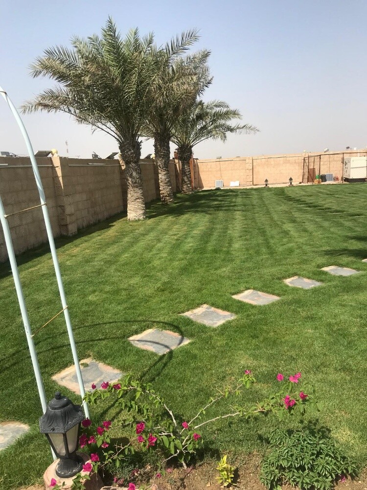 ابو ايه - 2