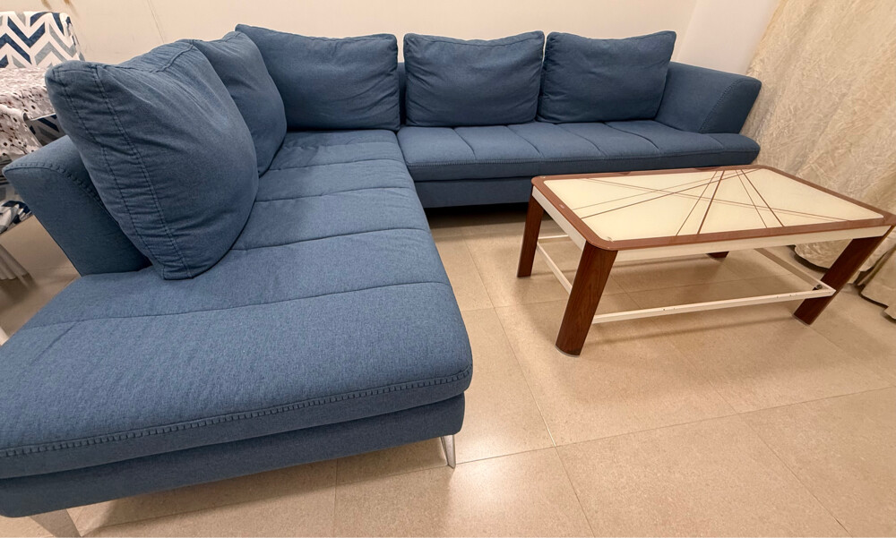 Home Center L shape Sofa - 1