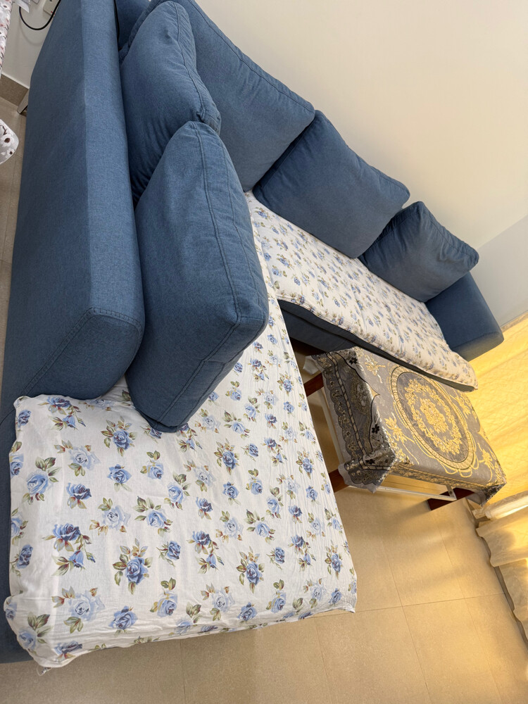 Home Center L shape Sofa - 3