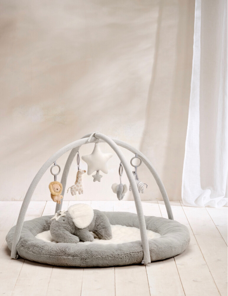 Playmat & Gym-Welcome to the World - 1