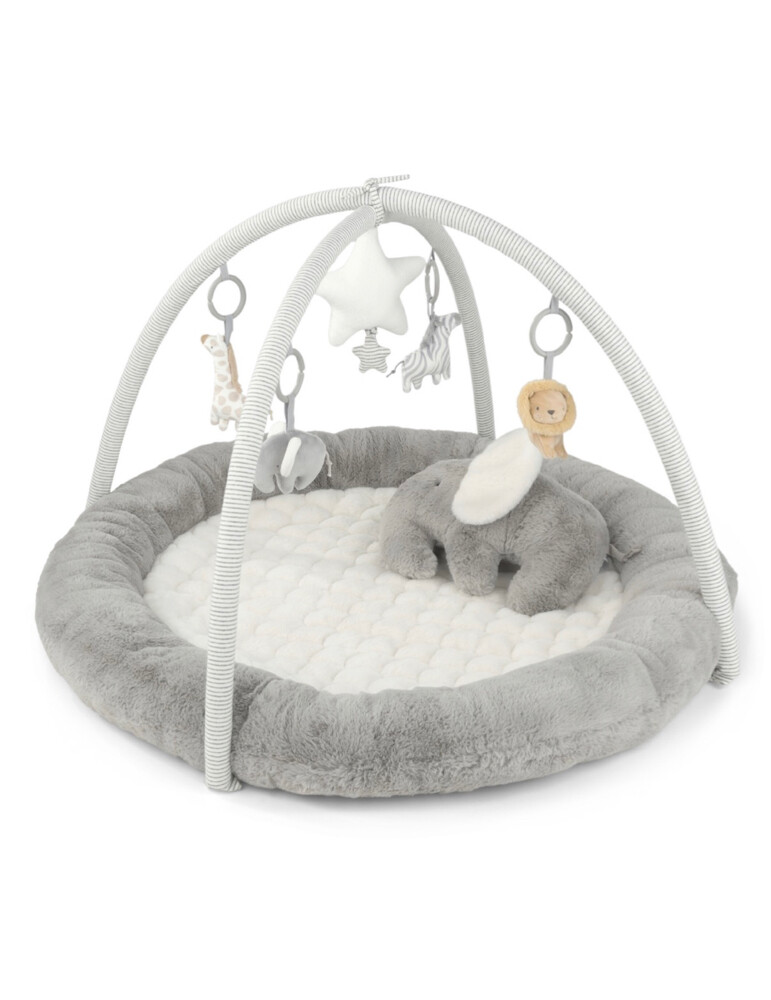 Playmat & Gym-Welcome to the World - 2