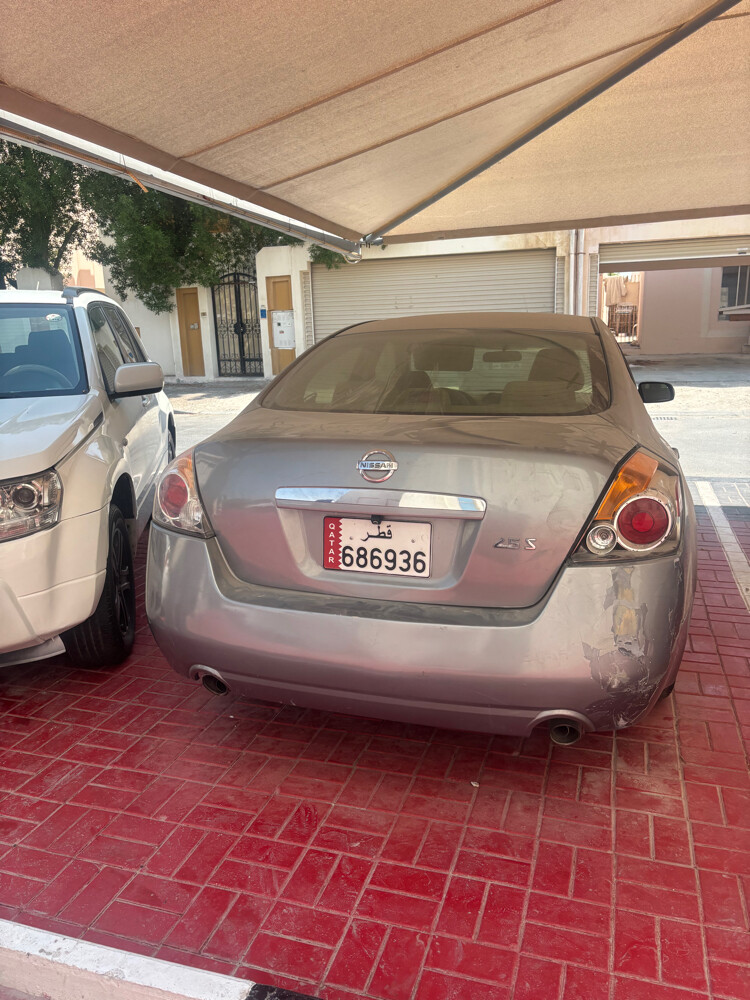 التيما - 8