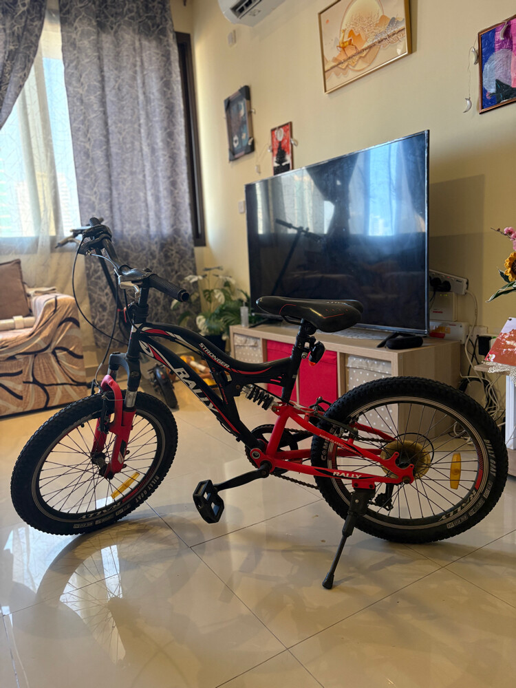 bicycle  - 2