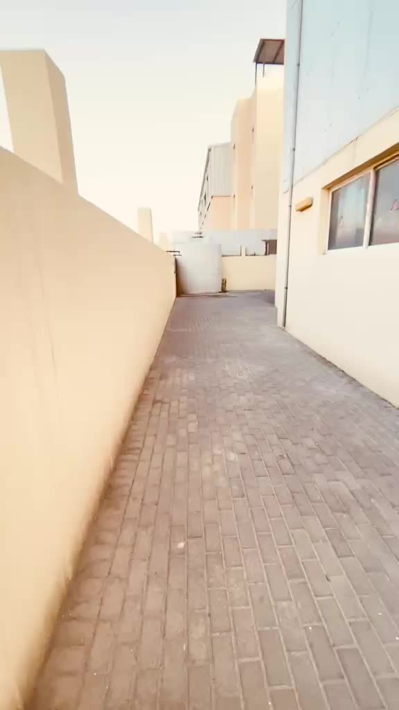 استور في ابا صليل - 9