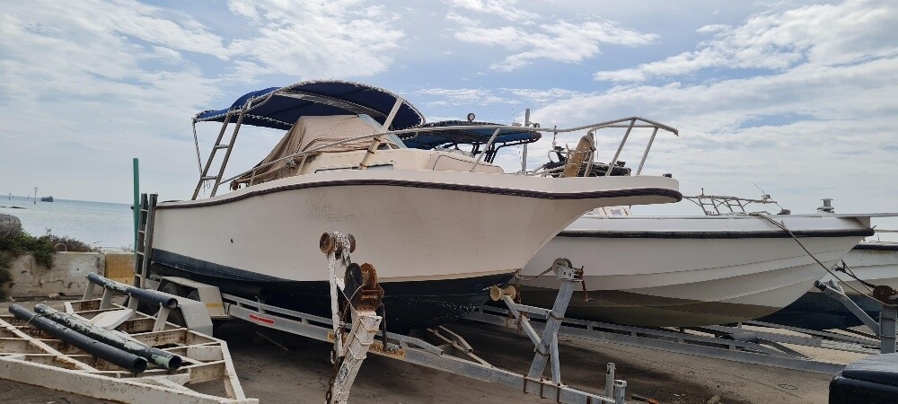 29 ft boat for sale - 1