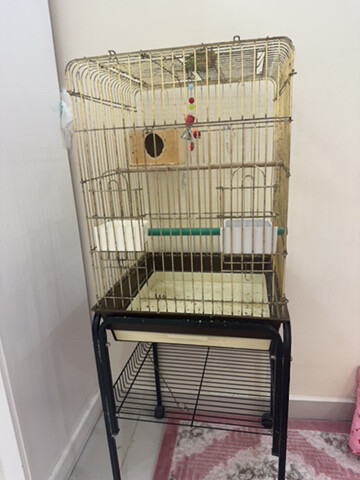 parrots cage for sale - 3