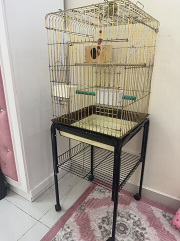 parrots cage for sale - 1