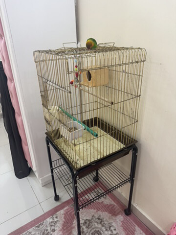 parrots cage for sale - 2