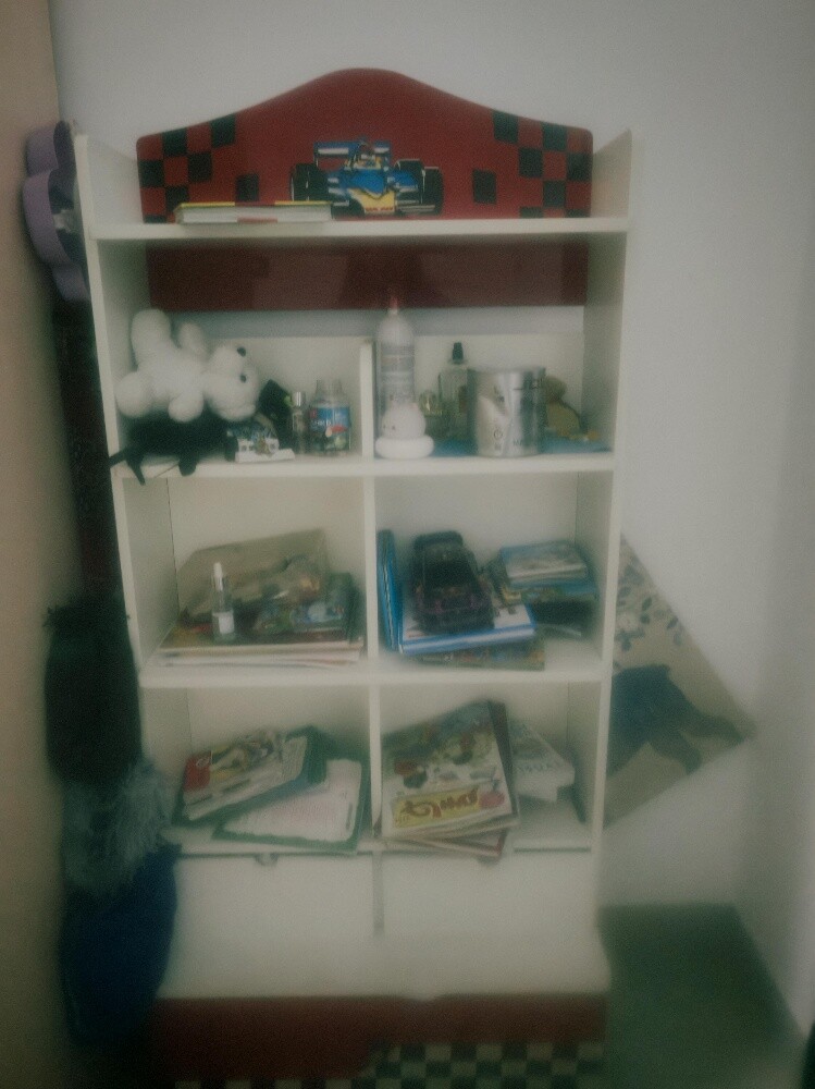 book shelf - 1