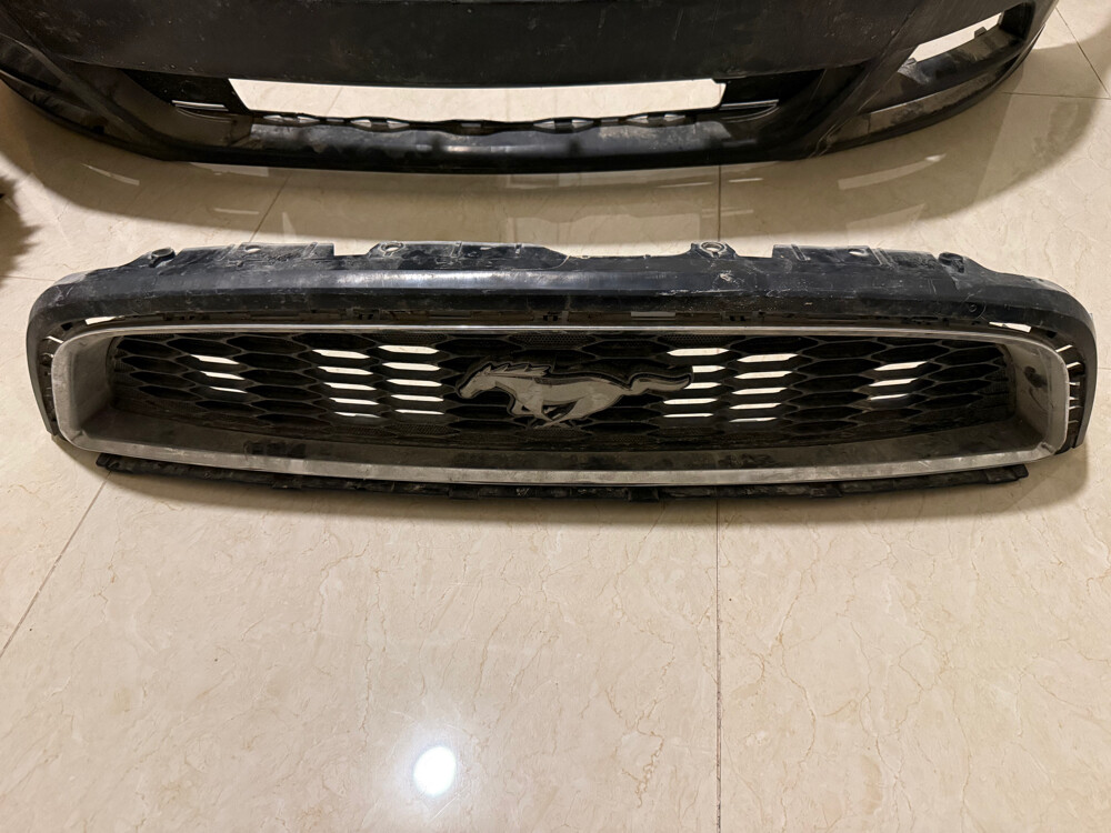 mustang grille - 1