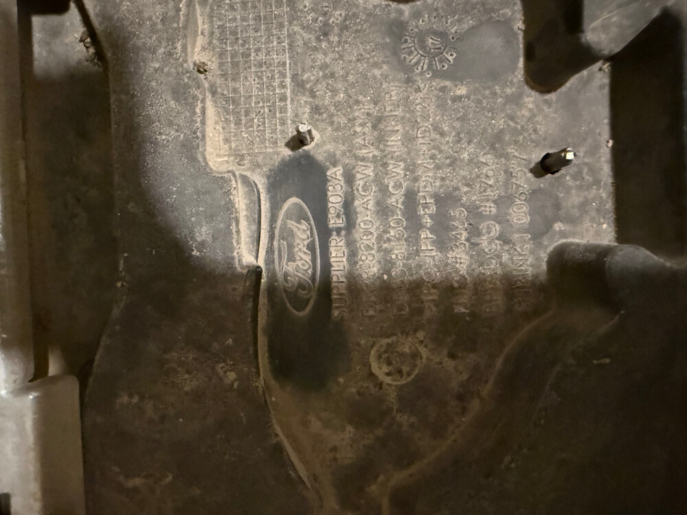 mustang grille - 2