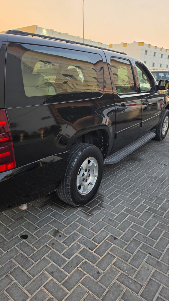 ثامر - 3