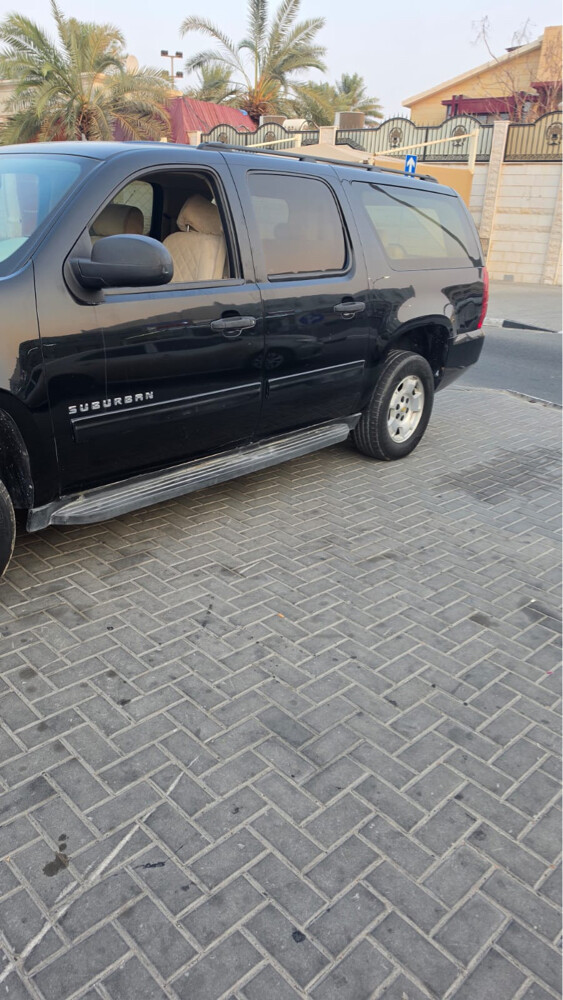 ثامر - 6