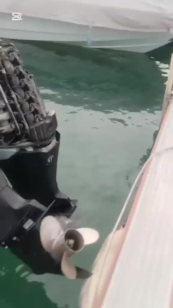 Marine Engine & Generator Repair - 2