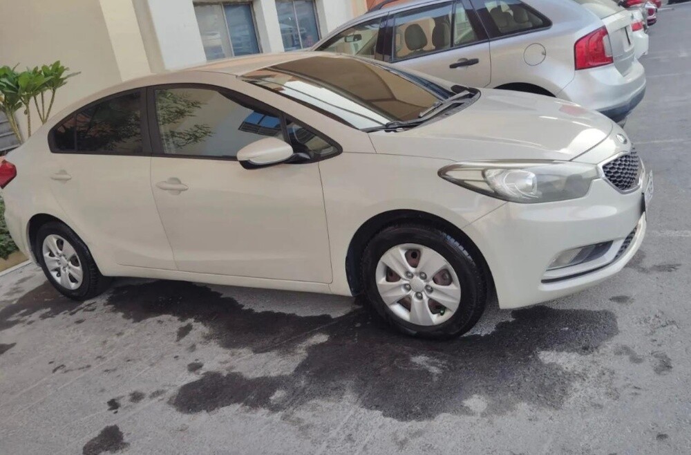 car used ledis driver - 4
